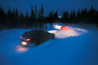 alfa_in_night